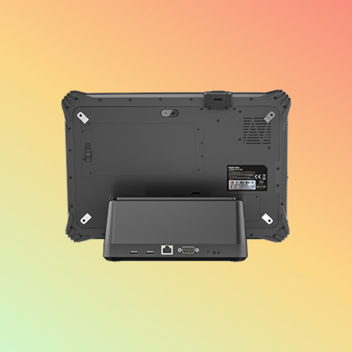 DingData S20TWP