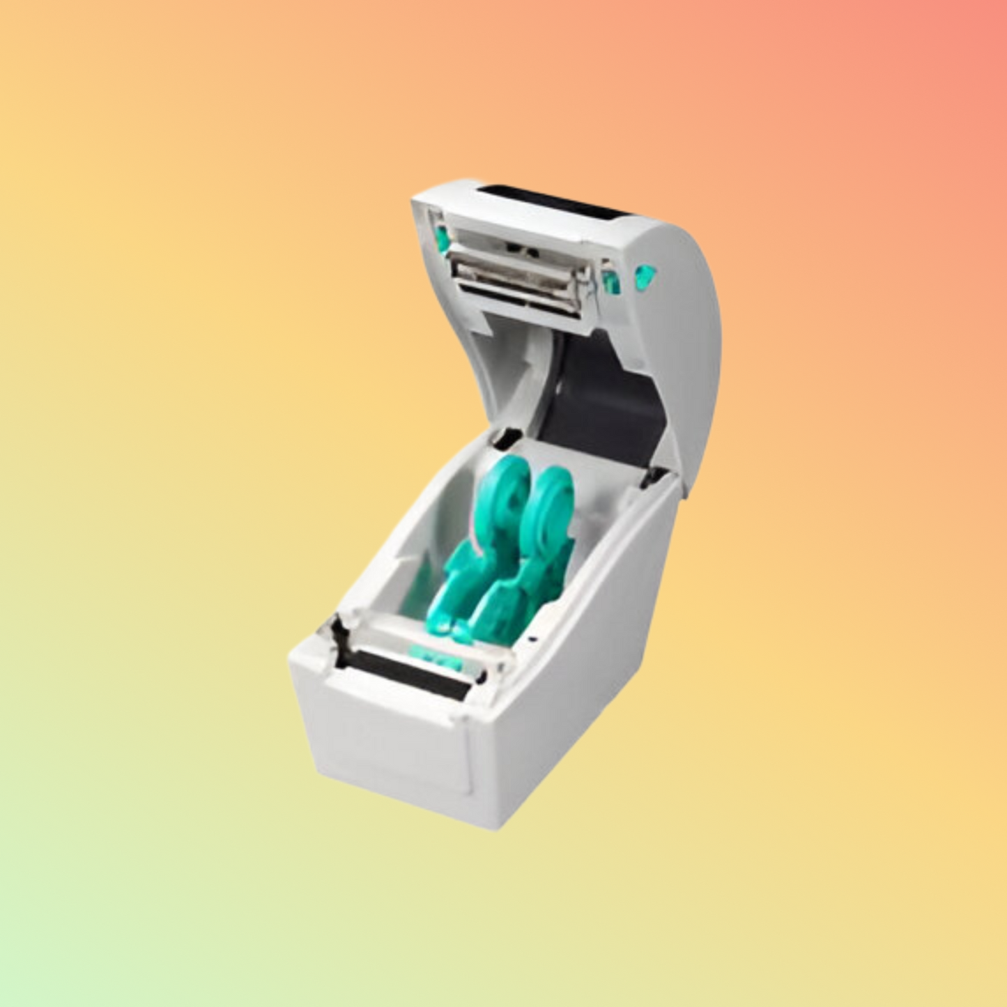 TSC TDP-225 DT Printer [203dpi]