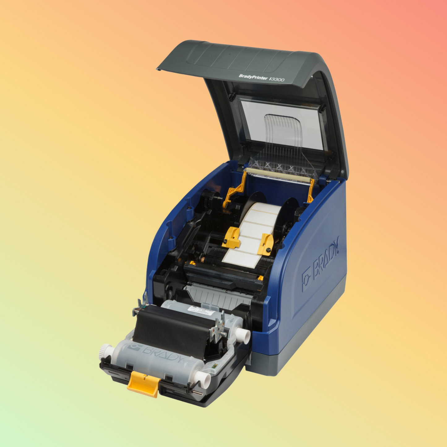 BradyPrinter i3300 with Wire ID Software Suite.