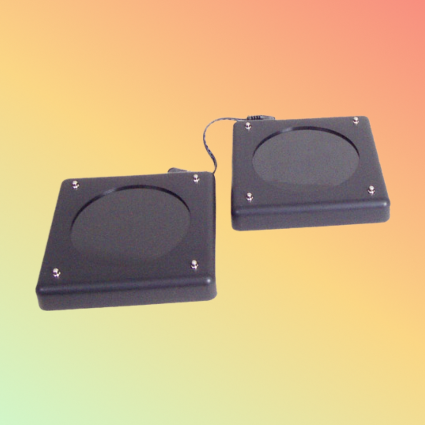 BEE-LINE LRS Alpha Coaster Pager Charger
