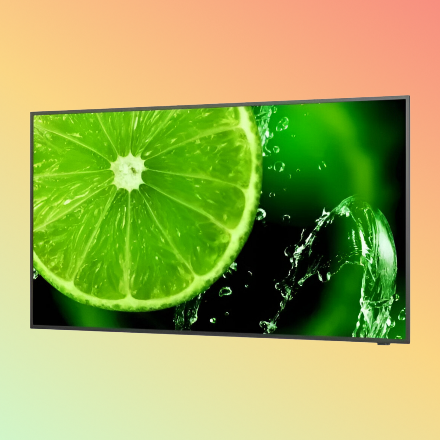 NEC MultiSync E658 Monitor - 65" LCD