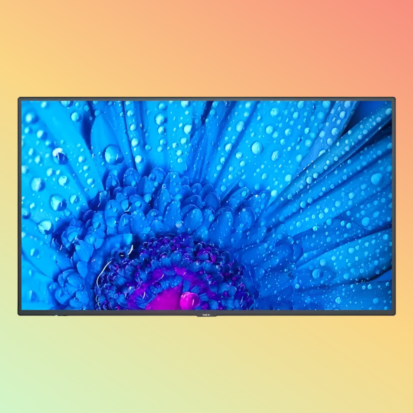 NEC MultiSync C861Q SST Monitor - 86
