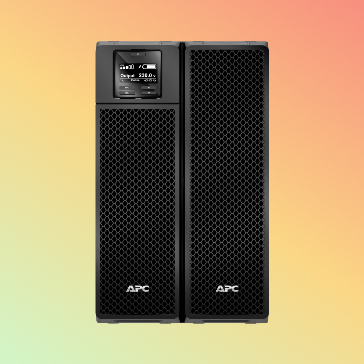 APC Smart SRT8KXLI UPS - 8000VA