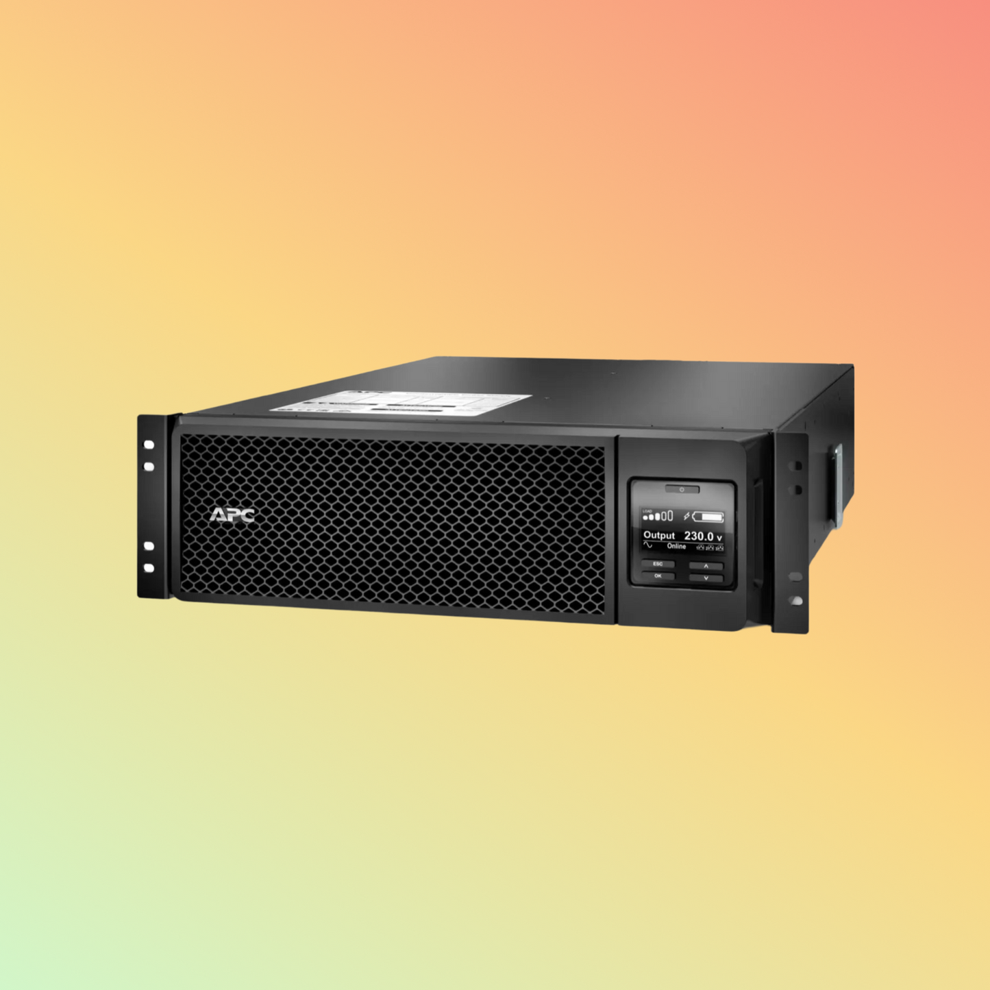 APC Smart SRT5KRMXLI UPS - 5000VA