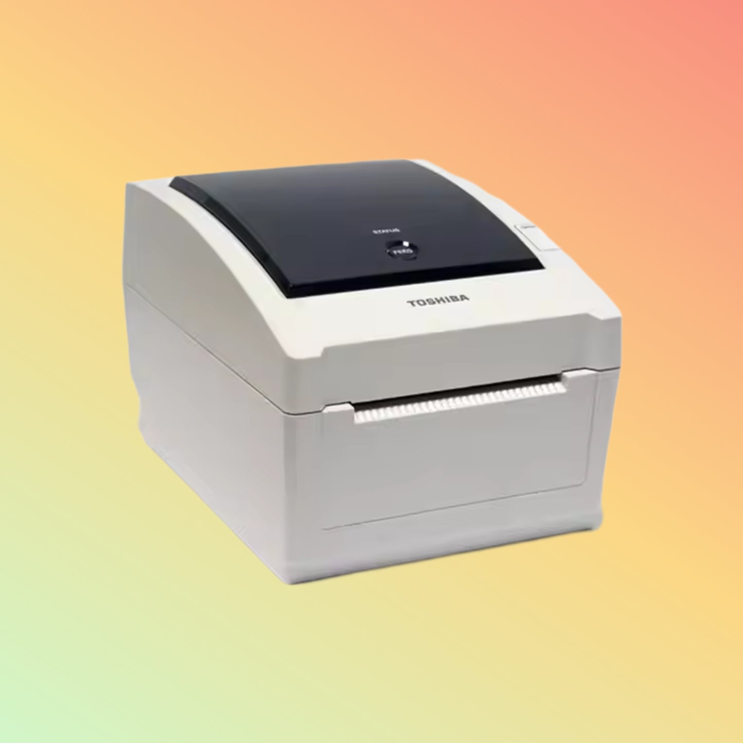 TEC EV4D Direct Thermal Compact Professional Label Printing