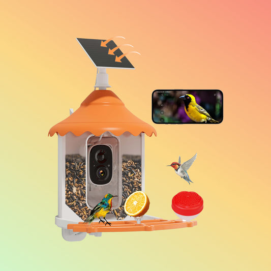 Hiseeu 2K 3MP Bird Feeder with IP66 Waterproof Camera, 2.5L Large Capacity,AI Identify 11000+ Birds Species