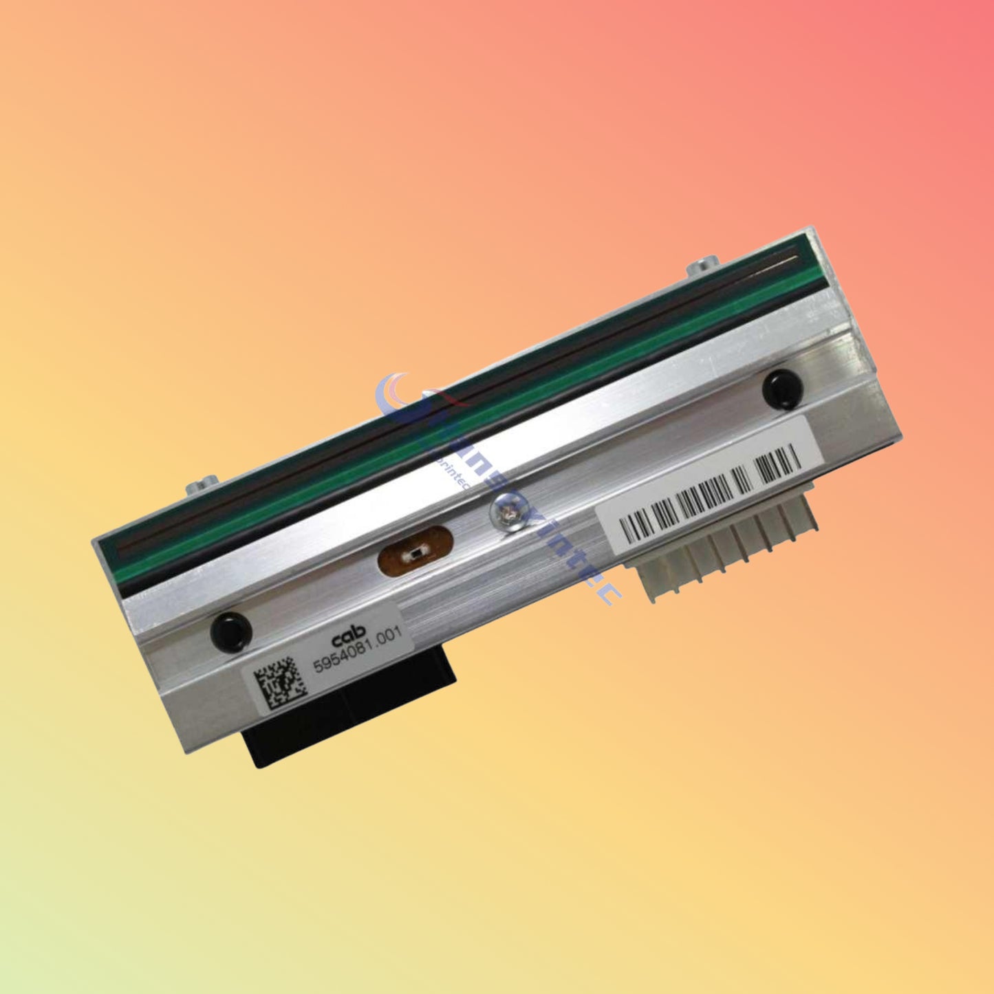 Genuine Printhead 5954081.001 for CAB A4+ 203DPI Thermal Label Printer