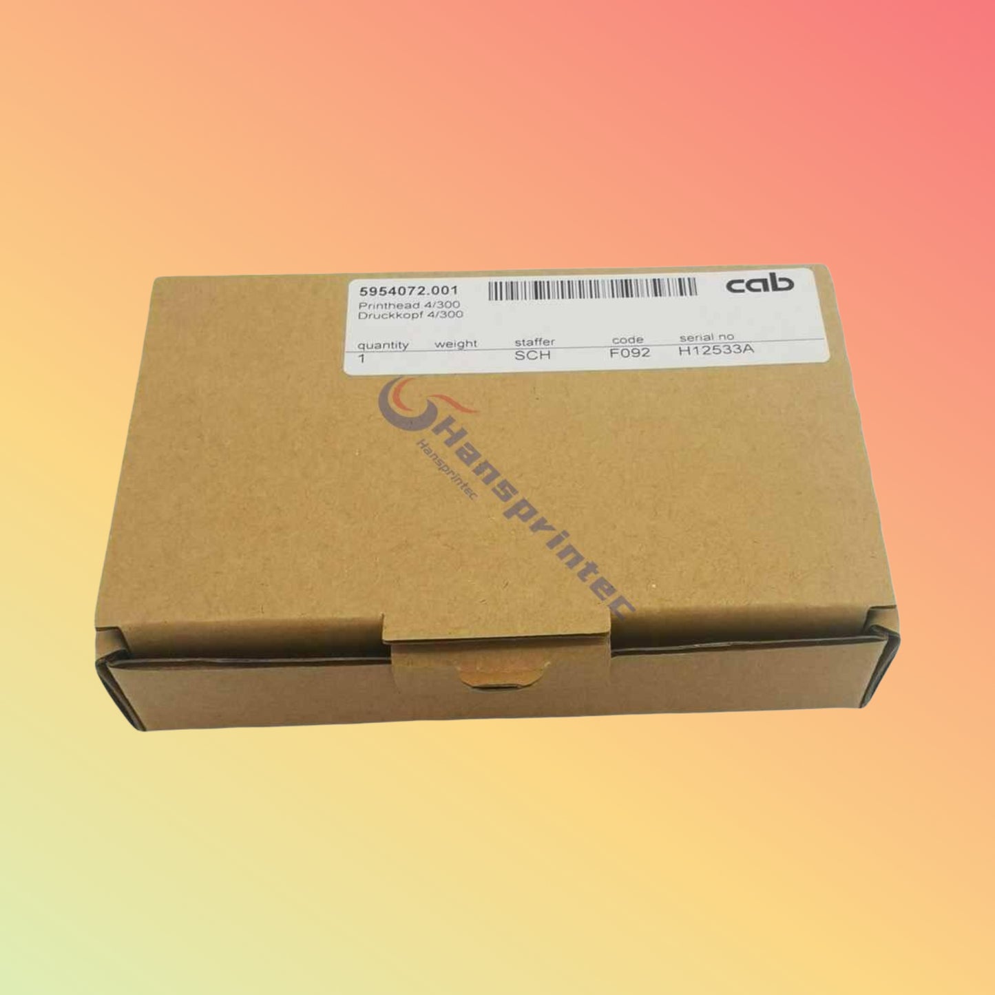 Genuine Printhead 5954072.001 for CAB A4+ 300DPI Thermal Label Printer