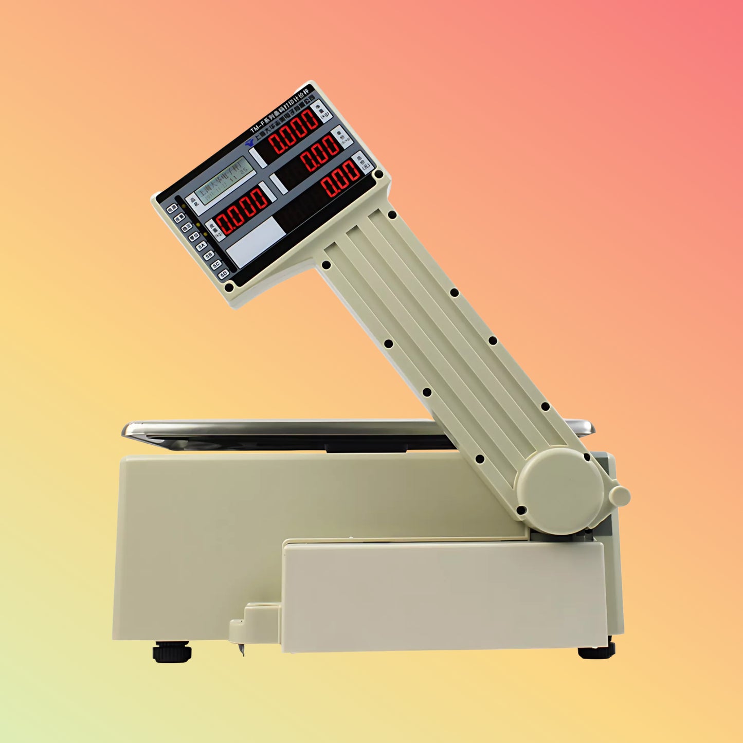 HCCTG 30KG Capacity Barcode Label Printing Scale HCC-ACS10