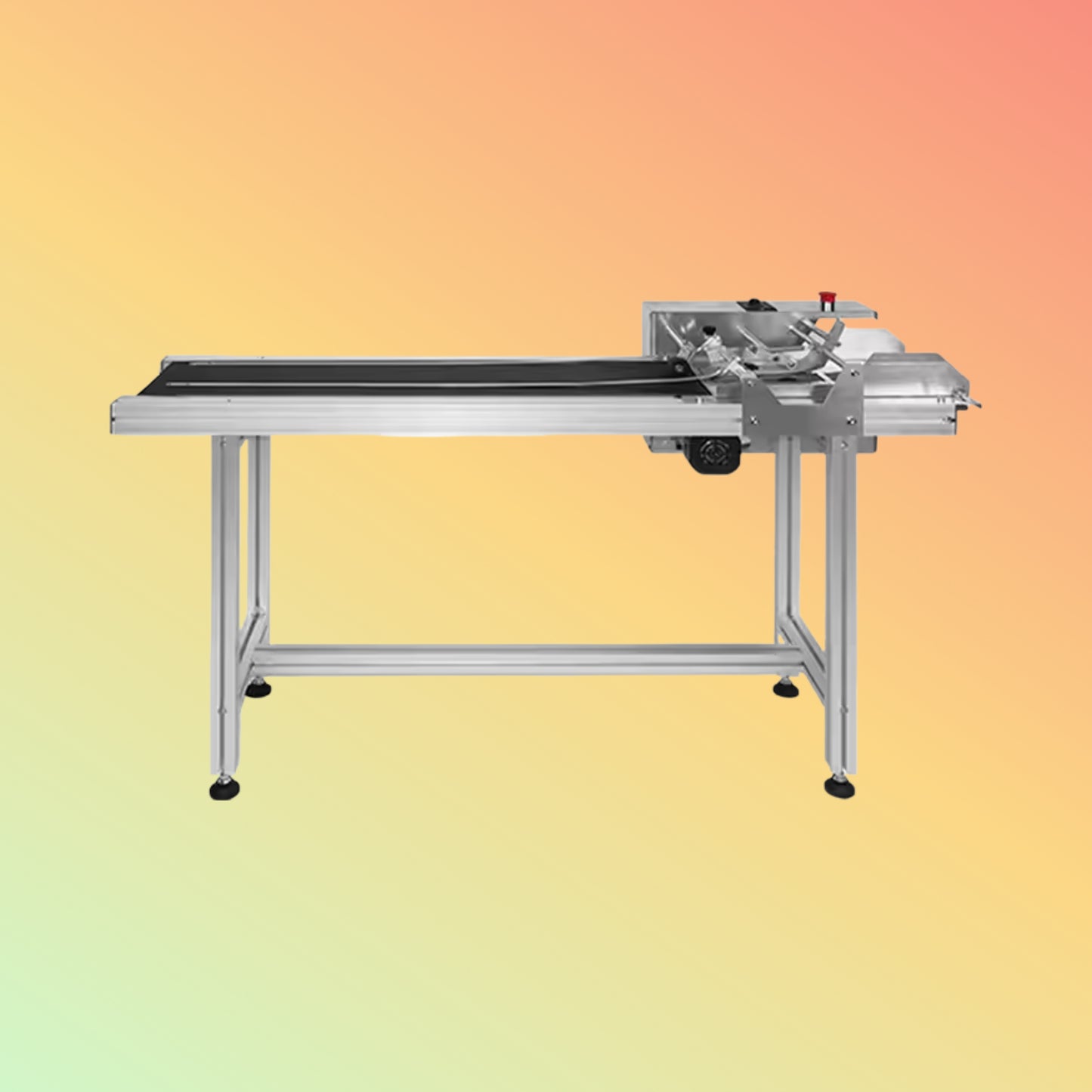 Yaomatec Adjustable Speed Conveyor Paging Machine for Bags