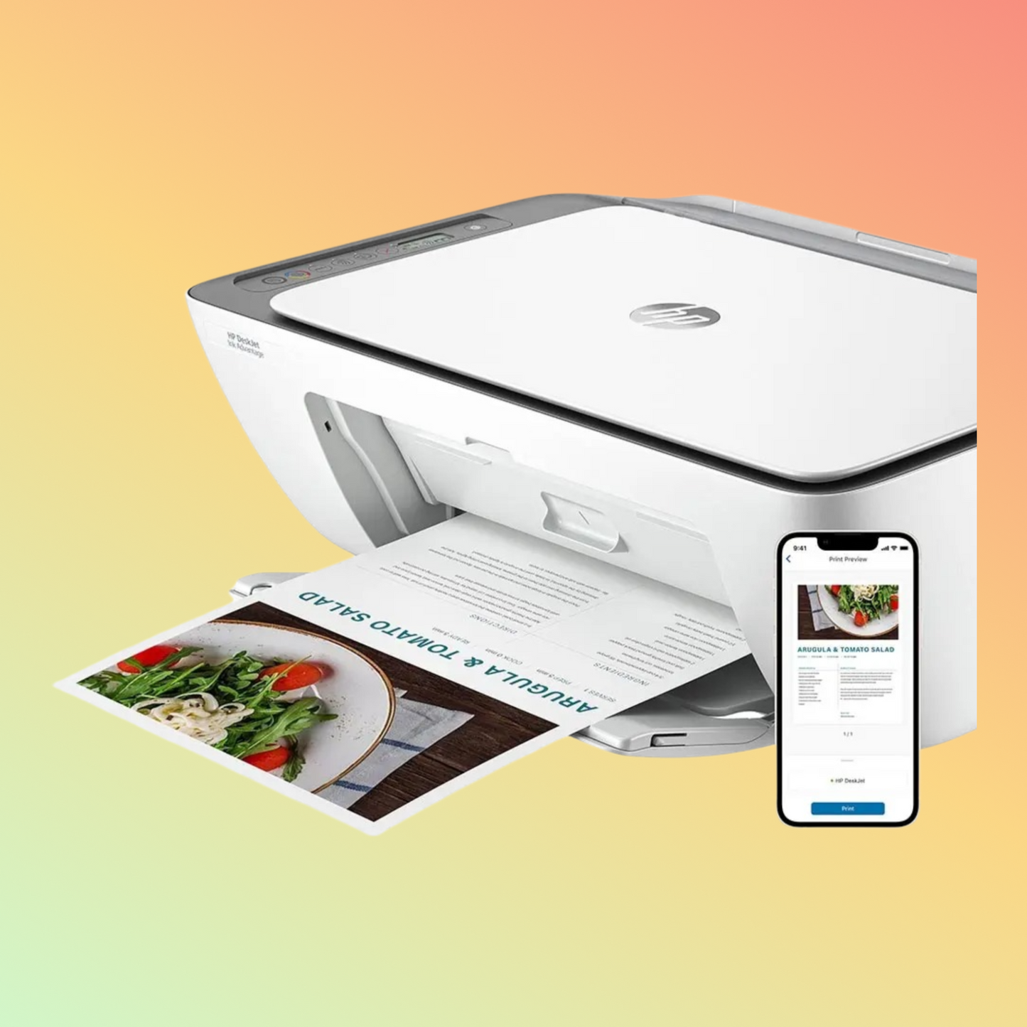 HP 6W7E6C DeskJet Ink Advantage 2876 All-in-One Printer