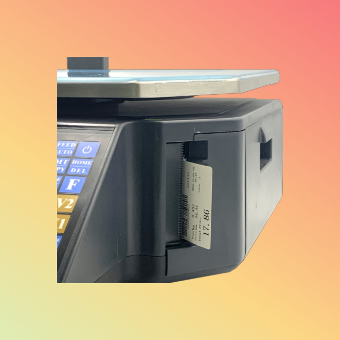 Electronic Balance OIML SC15 Retail Digital Scale