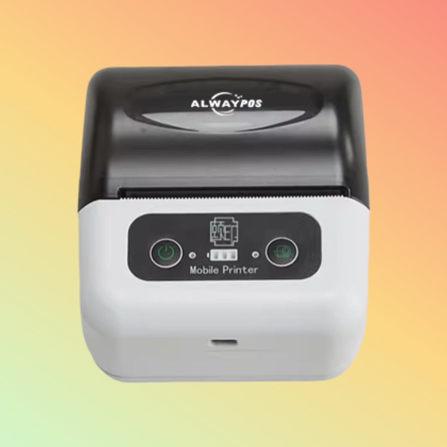 ALWAYPOS Compact & Portable w/ Smart Battery Display & Type-C