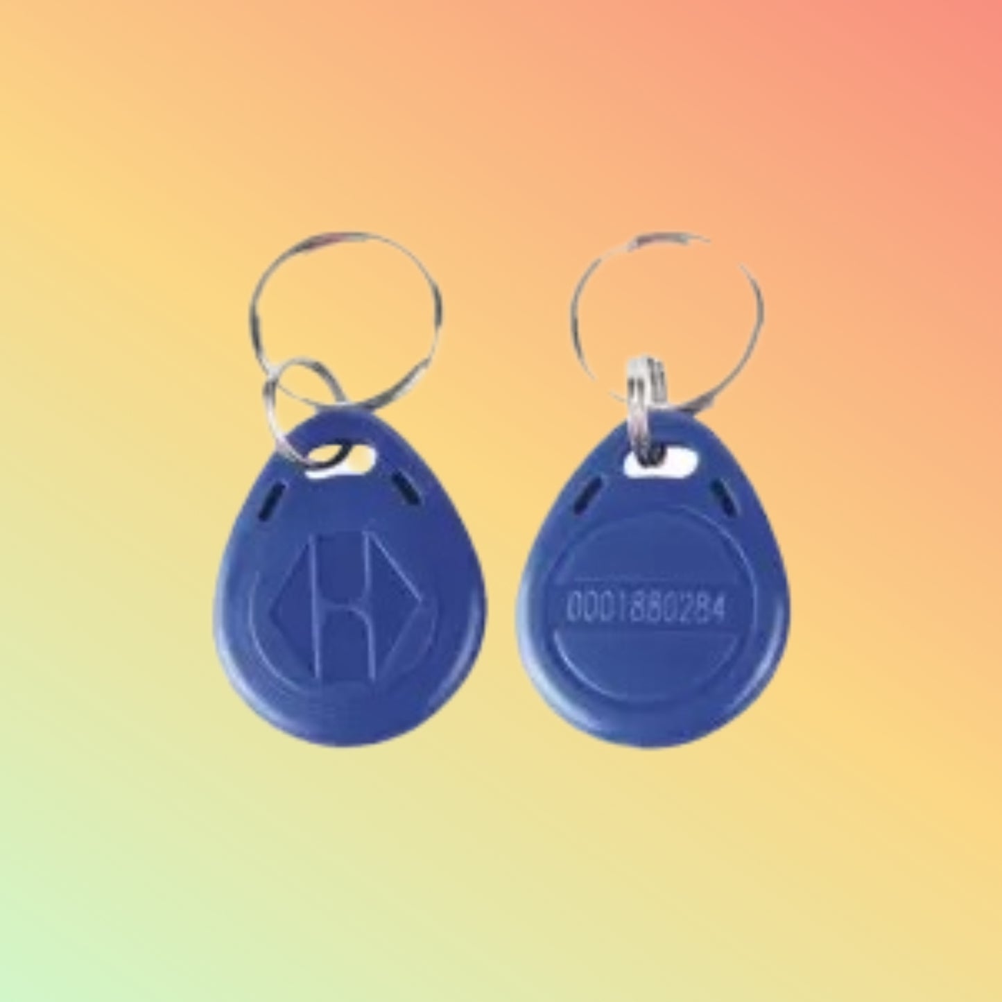MIND RFID keyfob