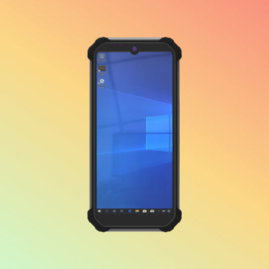 DingData W65N
