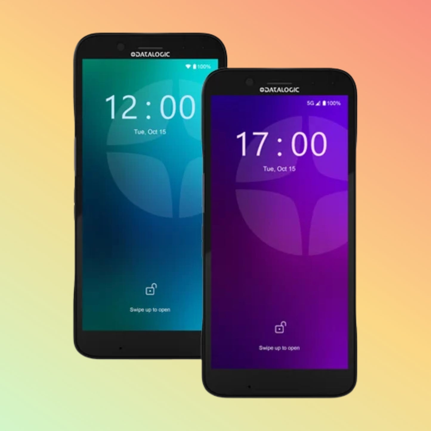 Data logic Memor 12-17 Enterprise Grade Power in a Pocket-Sized-Design